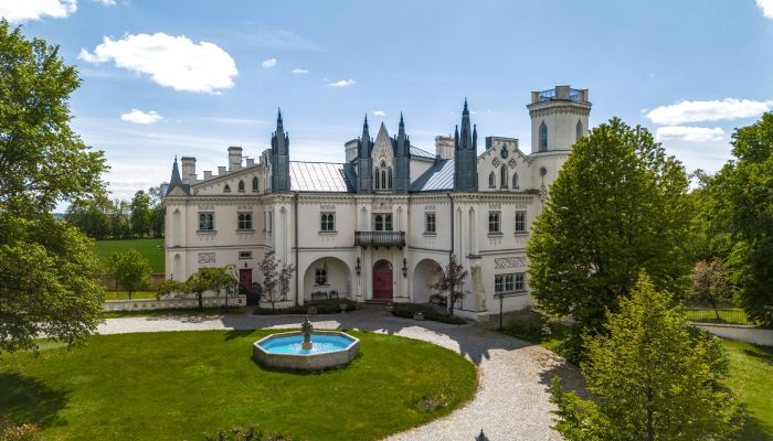 Château à vendre Patrykozy, Mazovie