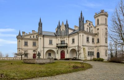 Propriétés, Manoir néogothique de Patrykozy - un monument exceptionnel en Mazovie