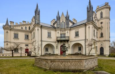 Propriétés historiques, Manoir néogothique de Patrykozy - un monument exceptionnel en Mazovie