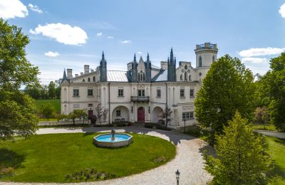 Château Patrykozy, Mazovie