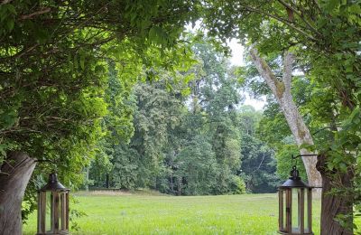 Manoir à vendre Dawidy, Dwór w Dawidach, Varmie-Mazurie, Parc