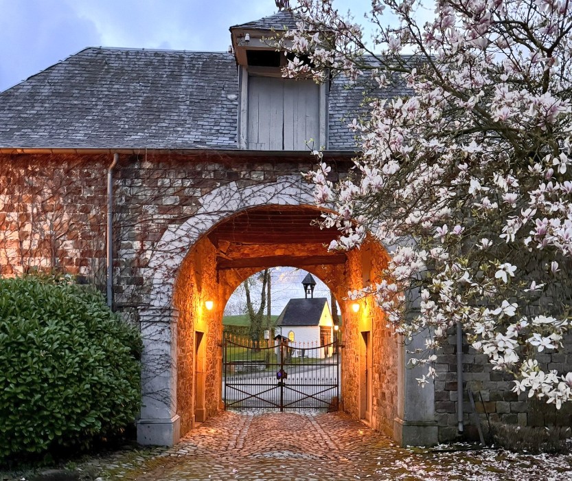 Propriétés, Château Thor Belgique