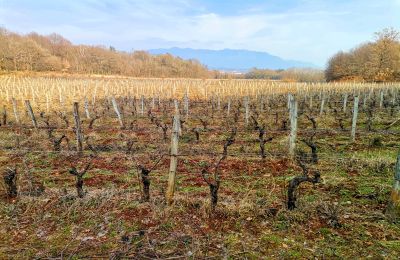 Château à vendre Italie, Image 19/25