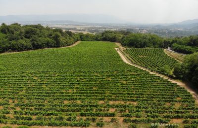 Château à vendre Frioul-Vénétie julienne, Image 21/21