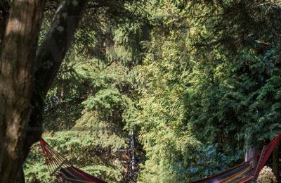 Manoir à vendre Trębki Nowe, Mazovie, Image 18/35