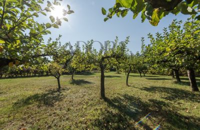 Manoir à vendre Trębki Nowe, Mazovie, Image 26/35