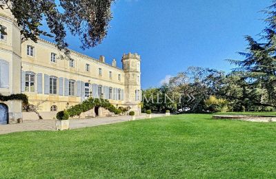 Manoir à vendre Saint-Sulpice-la-Pointe, Occitanie, Vue de l'arrière