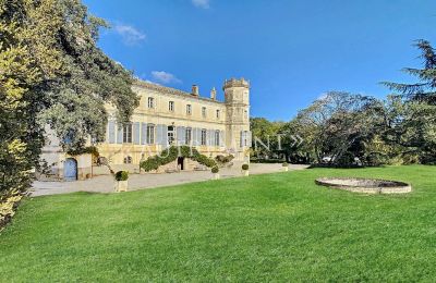 Manoir à vendre Saint-Sulpice-la-Pointe, Occitanie, Image 3/18