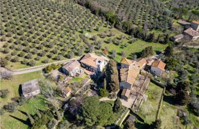 Maison de campagne à vendre Pontassieve, Toscane, Image 42/42