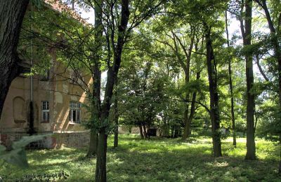 Manoir à vendre Udanin, Główna, Basse-Silésie, Parc