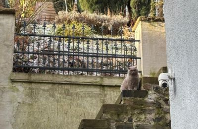 Demeure historique à vendre 58762 Altena, Bachstraße 66, Rhénanie-du-Nord-Westphalie, außentreppe zum Garten