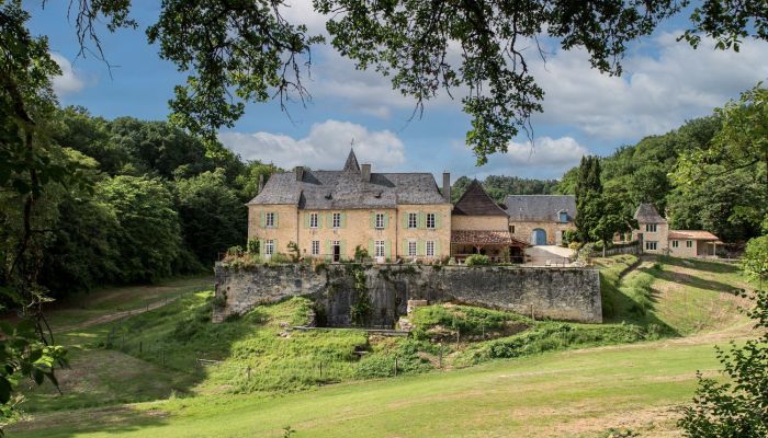 Château à vendre Nouvelle-Aquitaine,  France