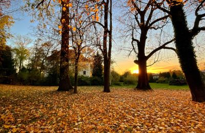 Château à vendre Rychnów, Opole, Image 6/11