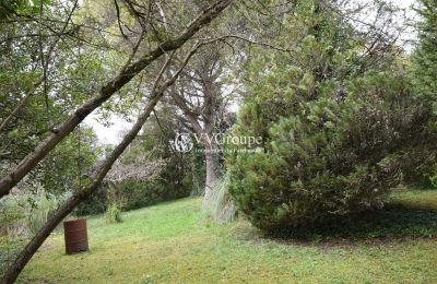 Demeure historique à vendre Angoulême, Nouvelle-Aquitaine, Jardin