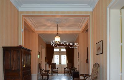 Demeure historique à vendre Angoulême, Nouvelle-Aquitaine, Hall d'entrée