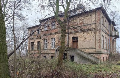 Manoir à vendre Parsko, Pałac w Parsku, Grande-Pologne, Image 14/16