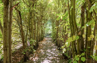 Demeure historique à vendre Charlottenburg-Wilmersdorf, Westend, Berlin, Lindenlaubengang 