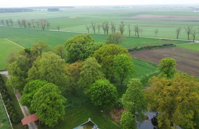 Manoir à vendre Machcin, Grande-Pologne, Image 9/26