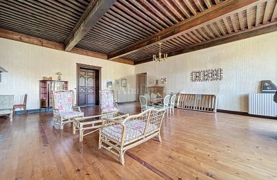 Manoir à vendre Tournay, Occitanie, Image 8/25