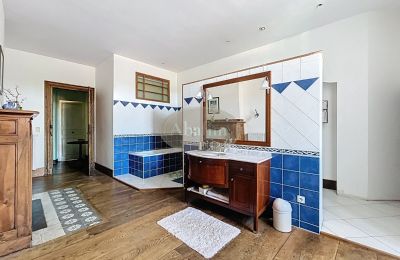 Manoir à vendre Tournay, Occitanie, Image 19/25
