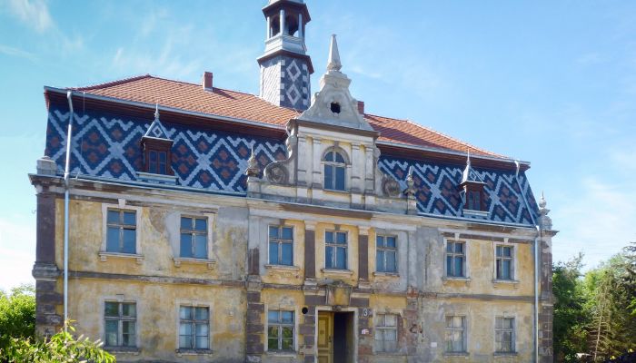 Château à vendre Tyńczyk Legnicki, Basse-Silésie,  Pologne