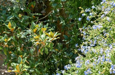Propriété historique à vendre Aigaliers, Occitanie, Image 22/24