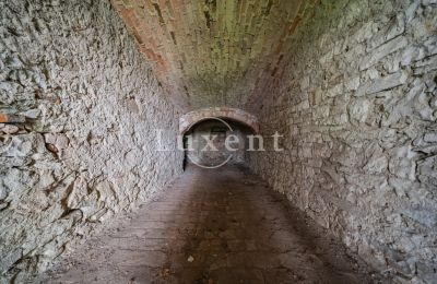 Château à vendre Vršovice, Zámek Vršovice, okres Louny, Image 11/35