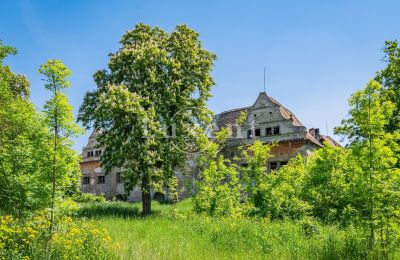 Château à vendre Vršovice, Zámek Vršovice, okres Louny, Image 32/35