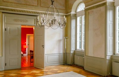 Manoir à vendre 23881 Niendorf / Stecknitz, Schleswig-Holstein, Salle de bal