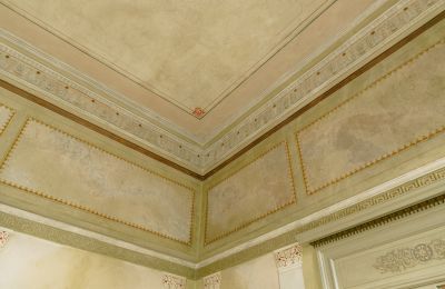 Manoir à vendre 23881 Niendorf / Stecknitz, Schleswig-Holstein, Détails