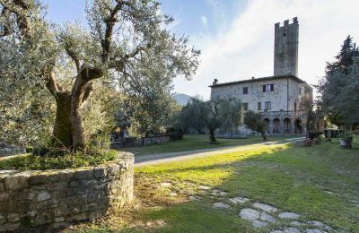 Château médiéval à vendre Croci di Calenzano, Toscane, Jardin