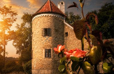 Manoir Koplotovce, Région de Trnava