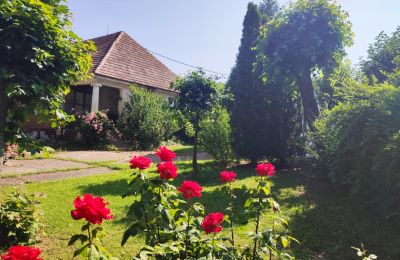 Manoir à vendre Trnavský kraj, okres Hlohovec, Koplotovce, Frídeský kaštieľ, Région de Trnava, Vedlajšia kúria