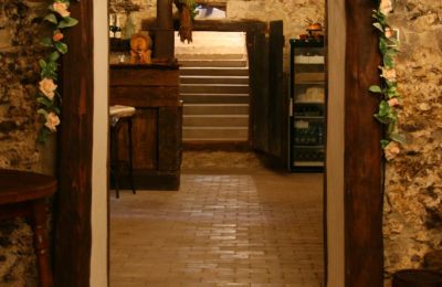 Manoir à vendre Trnavský kraj, okres Hlohovec, Koplotovce, Frídeský kaštieľ, Région de Trnava, Interiér pivnice