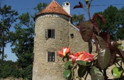 Manoir à vendre Trnavský kraj, okres Hlohovec, Koplotovce, Frídeský kaštieľ, Région de Trnava, Bašta