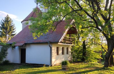 Manoir à vendre Trnavský kraj, okres Hlohovec, Koplotovce, Frídeský kaštieľ, Région de Trnava, Bašta s apartmánom