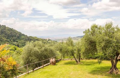 Demeure historique à vendre Villamagna, Toscane, Image 48/50