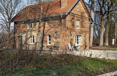 Manoir à vendre Mińsk Mazowiecki, Mazovie, Image 3/12