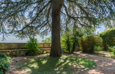 Demeure historique à vendre Montecalvoli, Toscane, Image 35/44