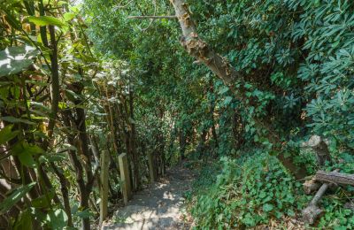 Demeure historique à vendre Montecalvoli, Toscane, Image 39/44