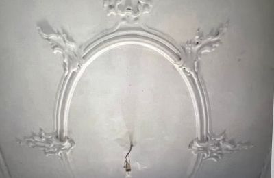 Château à vendre Bade-Wurtemberg, Image 33/37