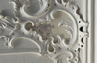 Château à vendre Bade-Wurtemberg, Image 31/37