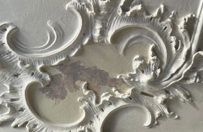 Château à vendre Bade-Wurtemberg, Image 30/37