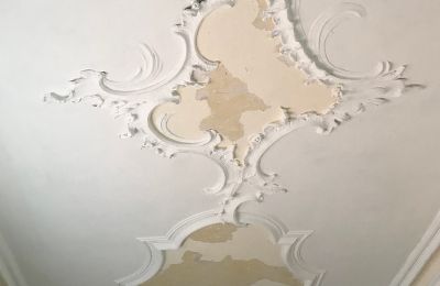 Château à vendre Bade-Wurtemberg, Image 15/37