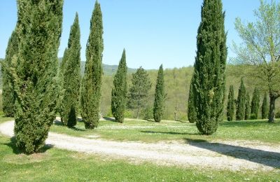 Demeure historique à vendre 06019 Umbertide, Ombrie, Image 19/22