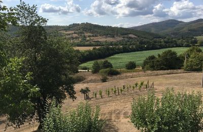 Demeure historique à vendre 06019 Umbertide, Ombrie, Image 21/22