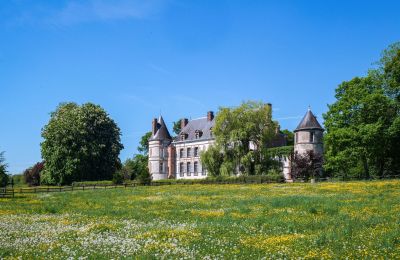 Château à vendre Sens, Bourgogne-Franche-Comté, Parc