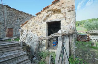 Demeure historique à vendre Monterchi, Toscane, Image 14/24