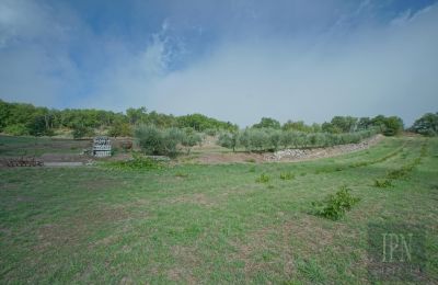 Demeure historique à vendre Monterchi, Toscane, Image 23/24