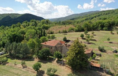 Demeure historique à vendre Monterchi, Toscane, Image 3/24